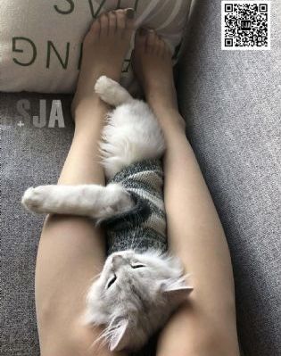护士夏子热情的夏天